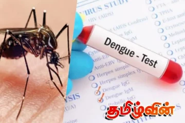 கிண்ணியாவில் ஆபத்தாக மாறும் டெங்கு: வழங்கப்பட்டுள்ள முக்கிய அறிவுறுத்தல்