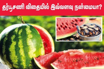 தர்பூசணி விதையில் இத்தனை நன்மைகள் இருக்கா? இனிமேல் தூக்கியெறியாதீர்கள்...