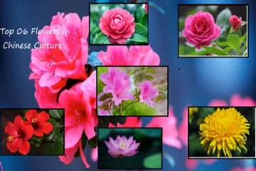 චීන සංස්කෘතියේ හොඳම මල් 06 ගැන දැනගන්න..