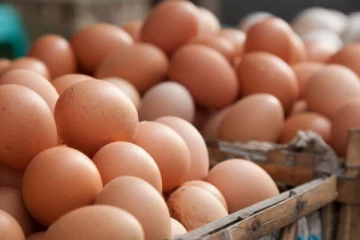 அடுத்த வாரத்திற்குள் இந்தியாவிலிருந்து முட்டை இறக்குமதி