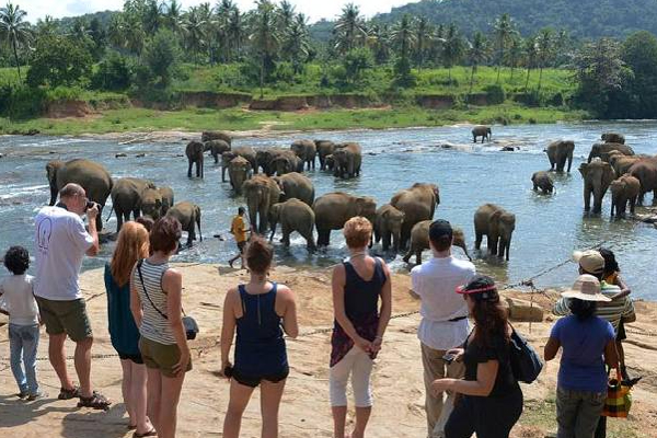 இலங்கையில் பெருமளவு குவிந்த வெளிநாட்டு சுற்றுலாப் பயணிகள்! | A Large Number Of Foreign Tourists In Sri Lanka இலங்கையில் பெருமளவு குவிந்த வெளிநாட்டு சுற்றுலாப் பயணிகள்! | A Large Number Of Foreign Tourists In Sri Lanka