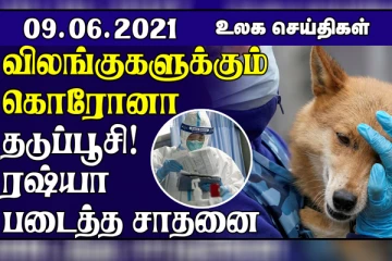 விலங்குகளுக்கும் கொரோனா தடுப்பூசி....ரஷ்யா படைத்த சாதனை! உலக செய்திகள்