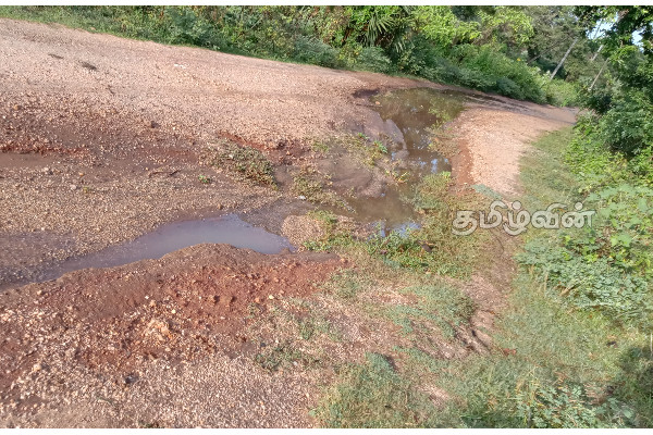 பயணிக்க முடியாத தண்டுவான் குளங்கீழ் வீதி: பாதிக்கப்படும் விவசாய மக்கள் | Sri Lankan Tamil People Problems