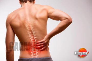 කොන්ද රිදෙනවද? මේ ටික කරොත් වේදනාවක් තිබ්බද කියලත් අමතක වෙයි [PHOTOS]