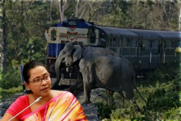 தொடருந்துகளில் மோதி நூற்றுக்கணக்கான காட்டு யானைகள் உயிரிழப்பு: அமைச்சர் வெளியிட்ட தகவல்