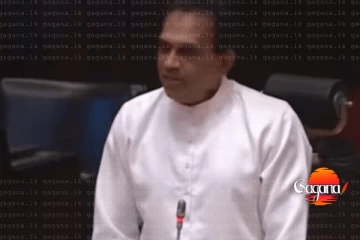 “ඩොලර් නැති රටකින් බිලියන ගාණ ඩොලර් ගෙනාවේ අපි" - ඇමති ක්‍රිෂාන්ත