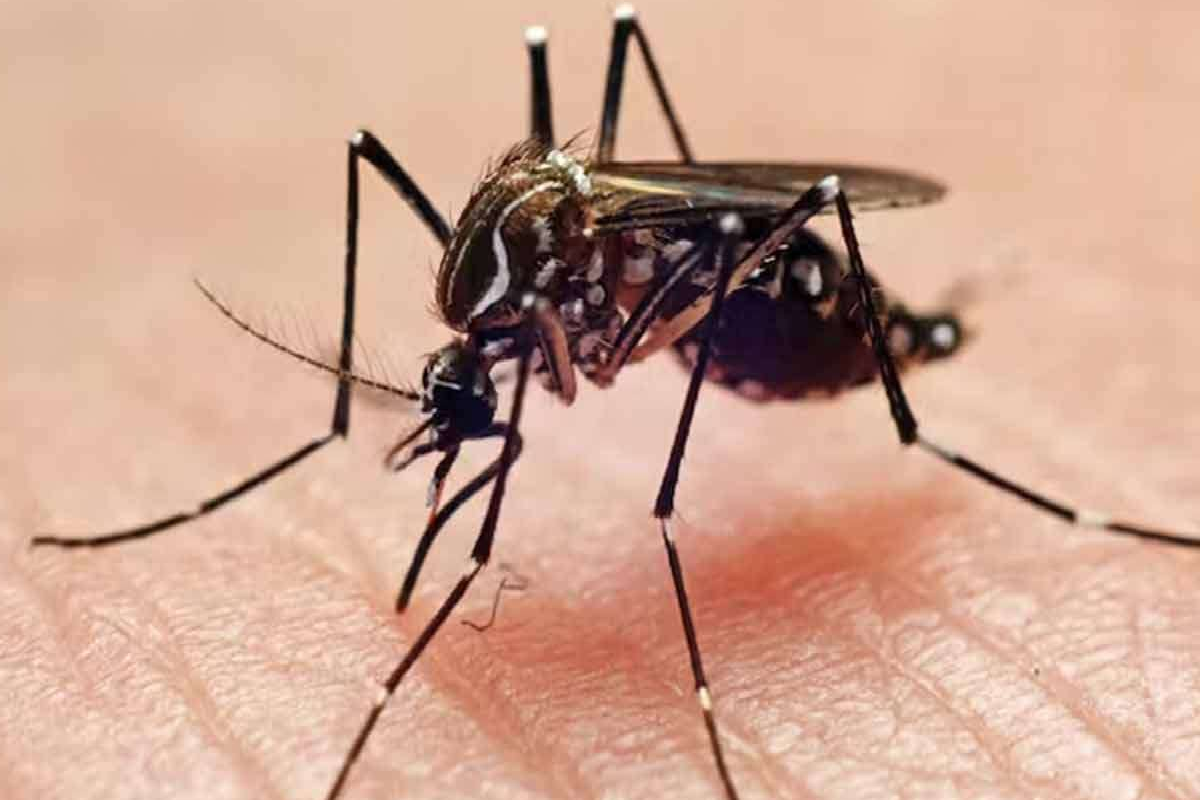 நாட்டில் மீண்டும் தலைதூக்கும் நோய் ; இலங்கையர்களுக்கு வெளியான அறிவிப்பு | Disease Resurfaces In The Country