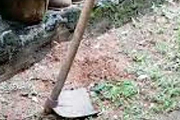 நண்பனை மண்வெட்டியால் தாக்கி கொன்ற நண்பன் - தமிழர் பகுதியில் சம்பவம் | A Friend Killed A Friend