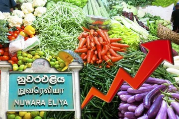 நுவரெலியாவில் அதிகரித்த மரக்கறிகளின் விலைகள்
