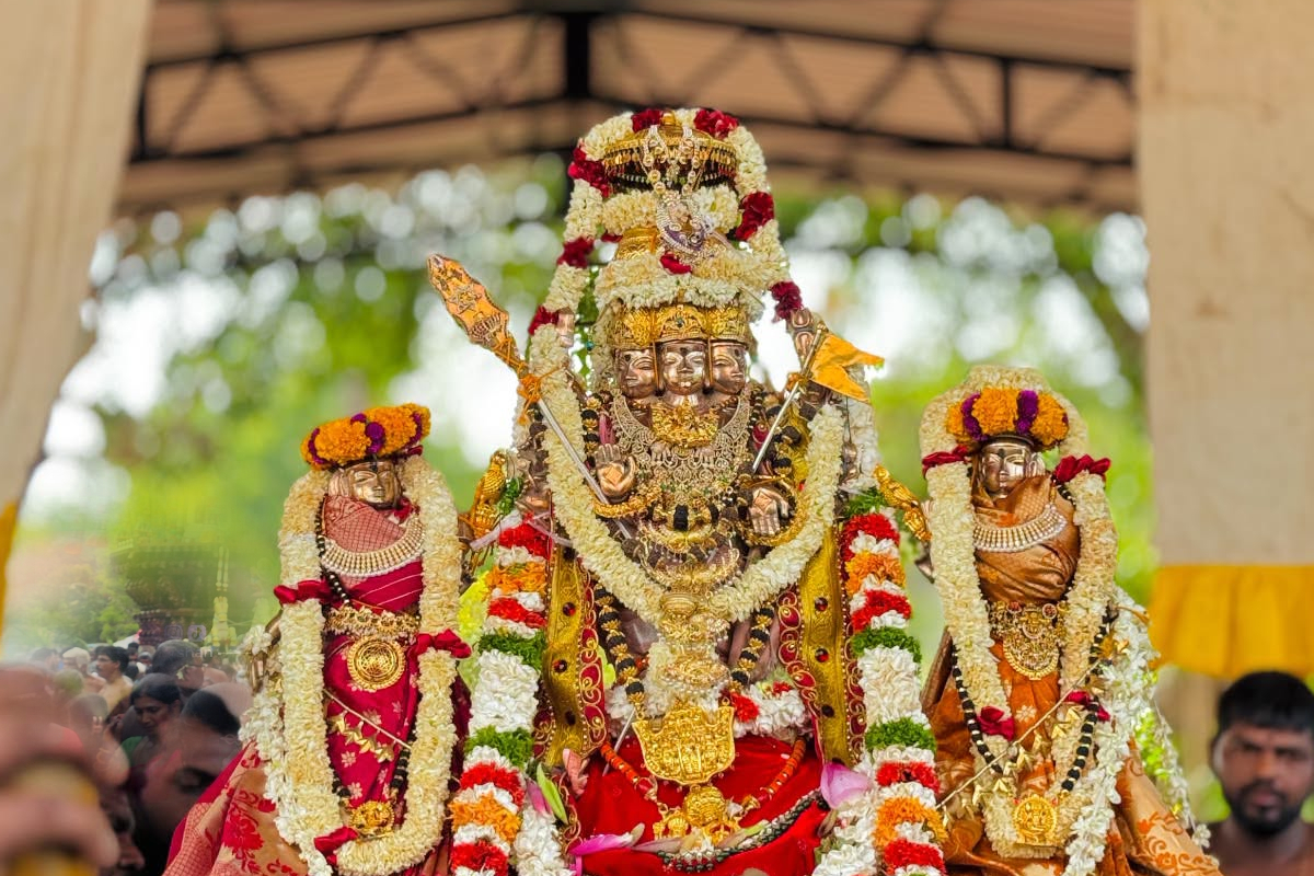 ஈழத்தின் வரலாற்று பிரசித்தி பெற்ற மாவிட்டபுரம் கந்தசுவாமி ஆலய தேர்; குவிந்த பக்தர்கள்! | Maviddapuram Kandaswamy Temple Chariot