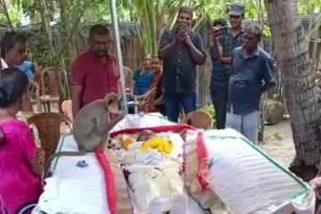 மனிதருக்கு மனிதாபிமானம் கற்றுக்கொடுத்த குரங்கு - இறுதி கிரியையில் நெகிழ்ச்சி சம்பவம்!