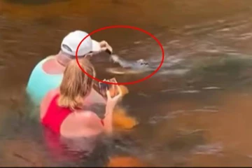 தண்ணீருக்குள் இருந்து கொண்டே முதலைக்கு சாண்ட்விச் ஊட்டிய இருவர்! வைரல் வீடியோ