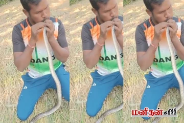 வாய் மேல் வாய் வைத்து பாம்பிற்கு உயிர் கொடுத்த நபர் - வைரல் காணொளி