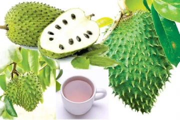 විස්මිත ගුණ දෙන කටු අනෝදා තේ පානය මෙන්න...