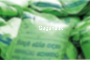 පොහොර මිල 4000කින් අඩු කිරීම ගැන දැනුම්දීමක්..ගොවීන්ට මෙන්න සතුටුදායක ආරංචියක්.!!