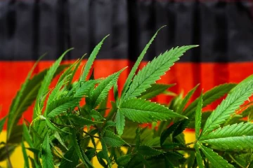 கஞ்சா பயன்பாட்டுக்கு அனுமதியளித்த பிரபல ஐரோப்பிய நாடு... ஆனால் வாங்குவது எளிதல்ல