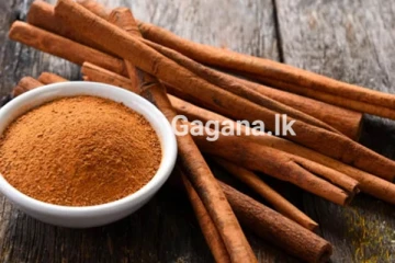 දිනපතා ආහාර වලට එකතු කරන කුරුදු ගැන ඔබ දන්නේ මොනවාද..? ඔබව පුදුම කරන විශ්මිත ගුණ..