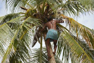 யாழில் 5 பிள்ளைகளின் தந்தைக்கு நேர்ந்த துயரம்! சோகத்தில் குடும்பம்