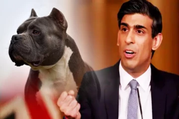 அமெரிக்க இன நாய்களுக்கு தடை: சுனக்கின் முடிவில் புதிய சர்ச்சை