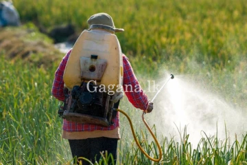 පළිබෝධනාශක පාලන පනත සංශෝධනයට අනුමැතිය.