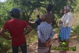 மட்டக்களப்பில் பாம்பு தீண்டி நபர் ஒருவர் உயிரிழப்பு