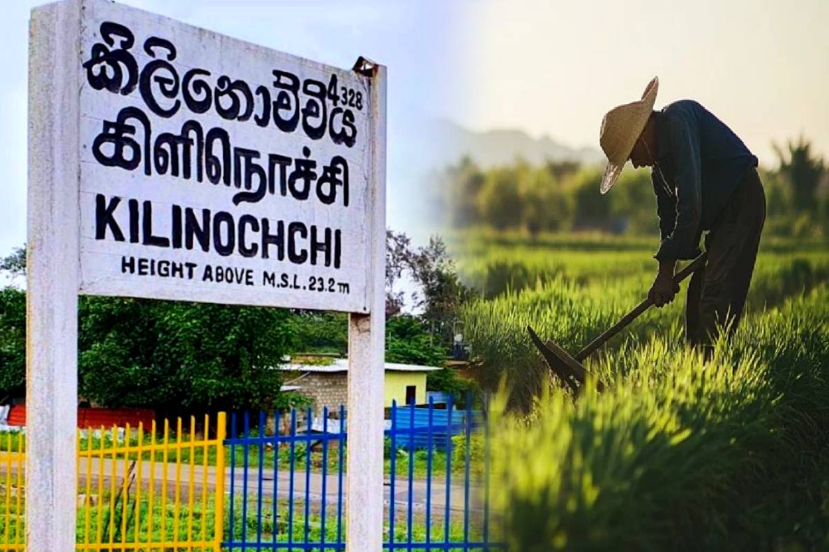 கிளிநொச்சி மாவட்டத்தில் விவசாயிகள் கையொப்பம் பெறப்படவில்லை! அதிகாரிகள் விளக்கம் | Farmers Signatures In Kilinochchi District