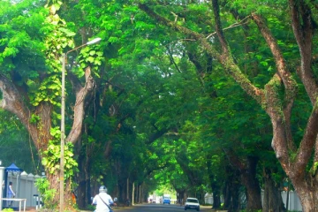 கொழும்பில் இன்று நடைமுறைக்கு வரும் புதிய போக்குவரத்து நெறிமுறை