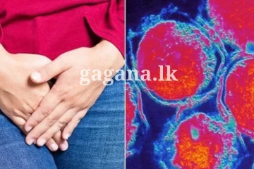 වව්නියාවේ දී අත්අඩංගුවට ගත් කාන්තාවන් 07දෙනාට සමාජ රෝග - සෞඛ්ය නිලධාරීන්ගෙන් දැනුම්දීමක්.