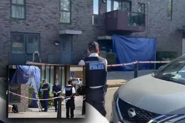 கிழக்கு லண்டனில் நடந்த கத்திக்குத்து சம்பவம்: பெண்ணொருவர் கைது