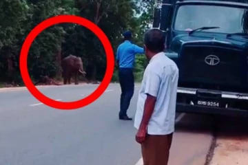 දැවැන්ත සද්ධන්තායාට යට නොවී එඩිතර වු රණවිරුවන්..සමාජ මාධ්යයේ සැරිසරන වීඩියෝව මෙන්න..(VIDEO)