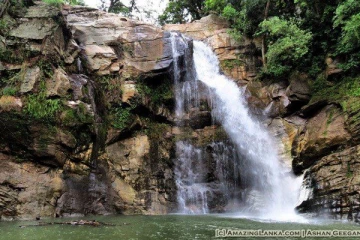 තරුණයින්ට මේ වසර මේ තරම් අපලද...? ඇල්ලවල ඇල්ල තවත් ජිවිත දෙකක් බිලි ගනි...