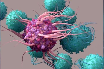 இந்தியாவில் அதிகரிக்கும் புற்றுநோய் மரணங்கள்.., ICMR எச்சரிக்கை