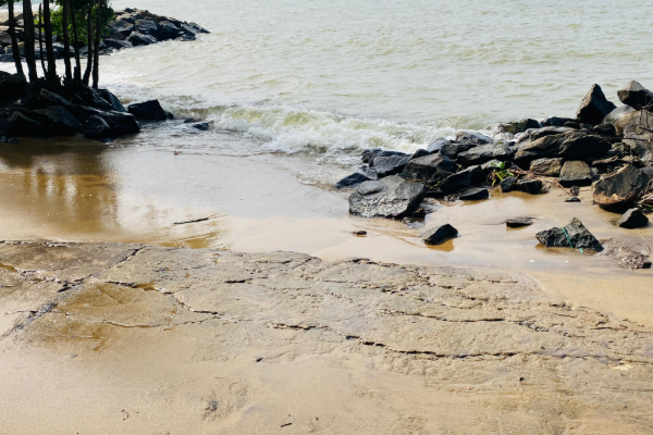 திருகோணமலையில் கடும் கடலரிப்புக்குளாகும் பிரதேசம்; மக்கள் கவலை | Trinco Muthur Severely Affected By Coastal Erosion