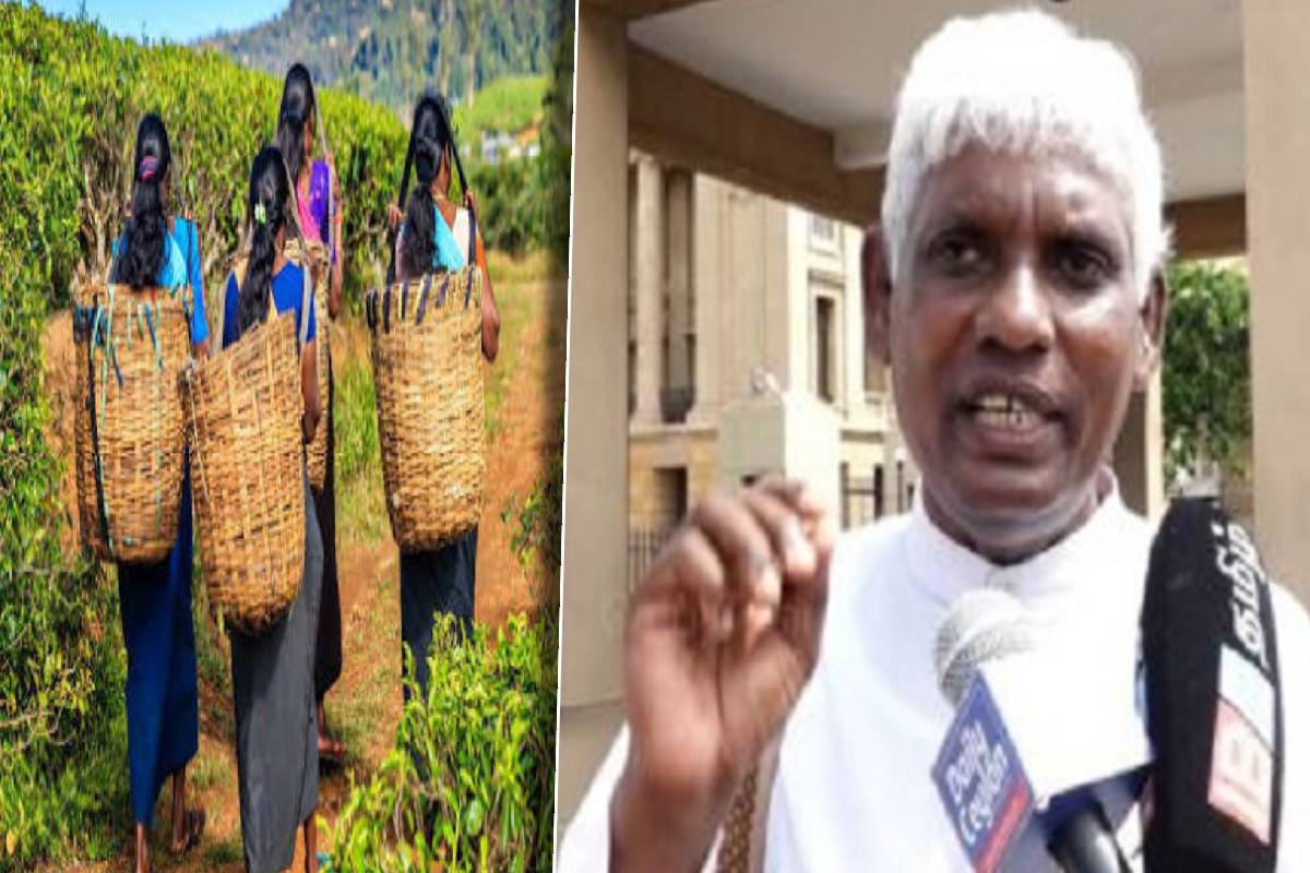 மலையகத் தமிழர் பிரச்சினையை பேரிடருக்குள் சுருக்காதீர்கள் - அருட்தந்தை சத்திவேல் கோரிக்கை | Issue Of Upcountry Tamils
