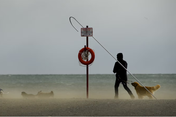 டொராண்டோவில் பலத்த காற்று குறித்து எச்சரிக்கை | Toronto Under Special Weather Statement With Wind டொராண்டோவில் பலத்த காற்று குறித்து எச்சரிக்கை | Toronto Under Special Weather Statement With Wind
