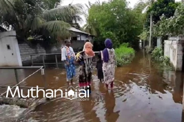 வெள்ளத்தில் அடித்துச் செல்லப்பட்டு, முஹம்மத் சலீம் மன்சூர்