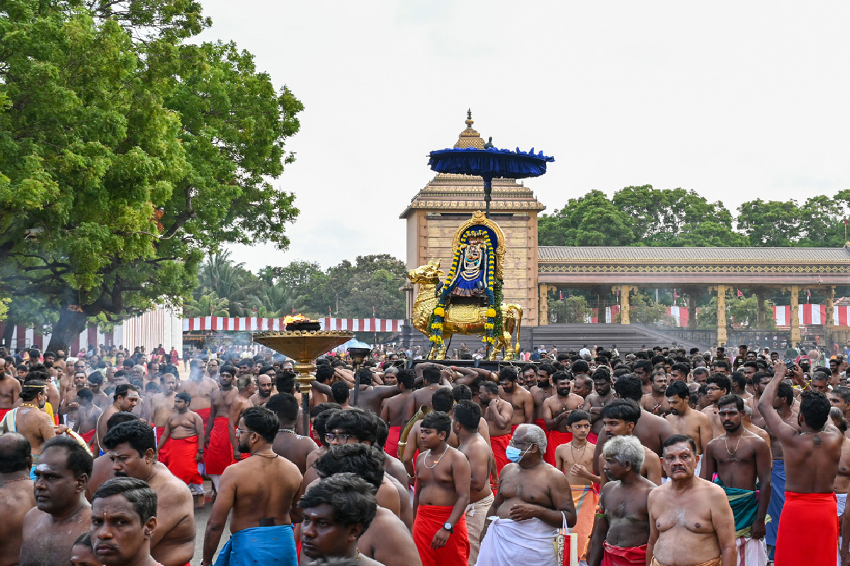 யாழ் நல்லூர் கந்தன் ஆலயத்தில் சந்தான கோபாலர் உற்சவம்; கண்டுகளித்த பக்தர்கள் கூட்டம்! | Santhana Gopalar Utsavam Nallur Murugan Kovil