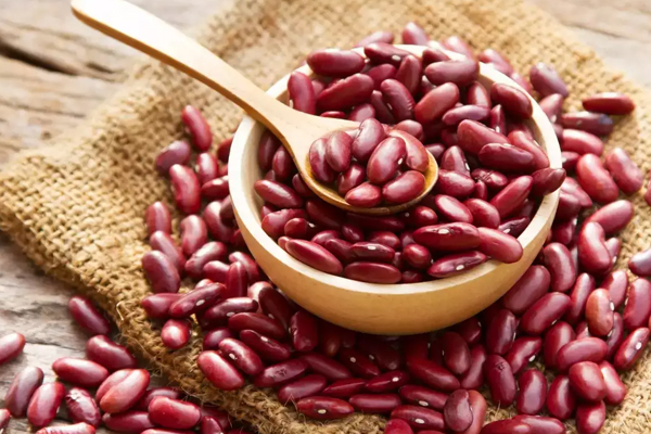 கண் பார்வையை அதிகரிக்க இந்த உணவுகளை உட்கொள்ளுங்கள் | Consume These Foods To Improve Eyesight