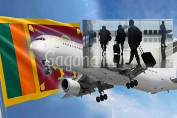 ලක්ෂ 02ක වැටුපකට රුමේනියා යන අයට වෙන දේ..වැඩි විස්තර මෙතනින් දැන ගන්න.