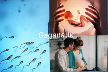 ස්ත්‍රී පුරුෂ සංසර්ගයකින් තොරව මානව කලලයක් නිර්මාණය කරයි..ලොවම පුදුම කරන සොයාගැනීමක්..