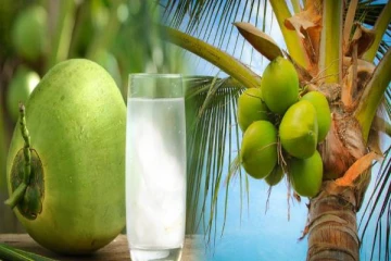 தேங்காய் உள்ளே இருக்கும் தண்ணீர் எங்கிருந்து வருகிறது தெரியுமா? பலரும் அறியாத தகவல்!