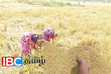 அரசாங்கத்திடம் விவசாயிகள் விடுத்துள்ள கோரிக்கை