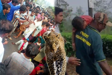 தொடரும் சிறுத்தை தாக்குதல்: 3 வயது குழந்தை உட்பட இருவர் பலி - போராட்டத்தில் குதித்த மக்கள்!