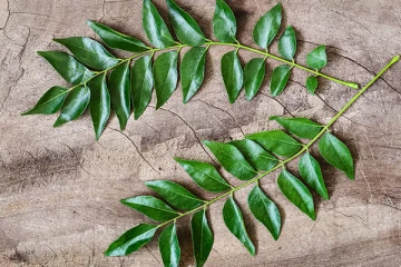 நீங்கள் ஒதுக்கி வைக்கும் கறிவேப்பிலை... அது அள்ளி தரும் நன்மைகள்