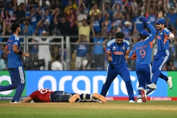 අවසන් මොහොතේ නූලෙන් බේරුණ ඉන්දියාව විස්සයි20 ලෝක කුසලාන අවසන් මහා තරගයට