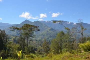 විශ්වවිද්‍යාල මහාචාර්යවරයෙකු ඇතුළු පිරිසක් පැහැරගැනේ..!