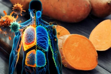 Immunity அளவை அதிகரிக்கும் சர்க்கரை வள்ளிக்கிழங்கு- யாரெல்லாம் சாப்பிடக்கூடாது?