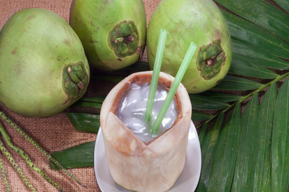 இளநீரை யாரெல்லாம் குடிக்க கூடாது? | Who Should Not Drink Coconut Fresh Water இளநீரை யாரெல்லாம் குடிக்க கூடாது? | Who Should Not Drink Coconut Fresh Water