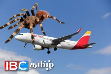 நடுவானில் விமானிக்கு நேர்ந்த அனர்த்தம்