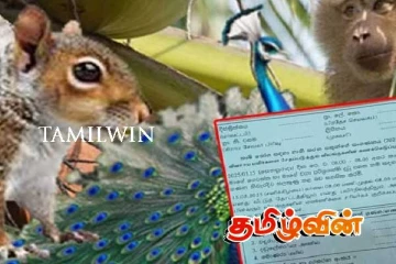 வனவிலங்கு கணக்கெடுப்பு குறித்து அரச ஊழியர்களுக்கு எதிராக முன்னெடுக்கப்படவுள்ள நடவடிக்கை